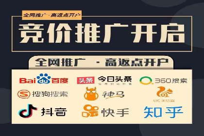 知名SEM公司案例分析：优化策略与成果